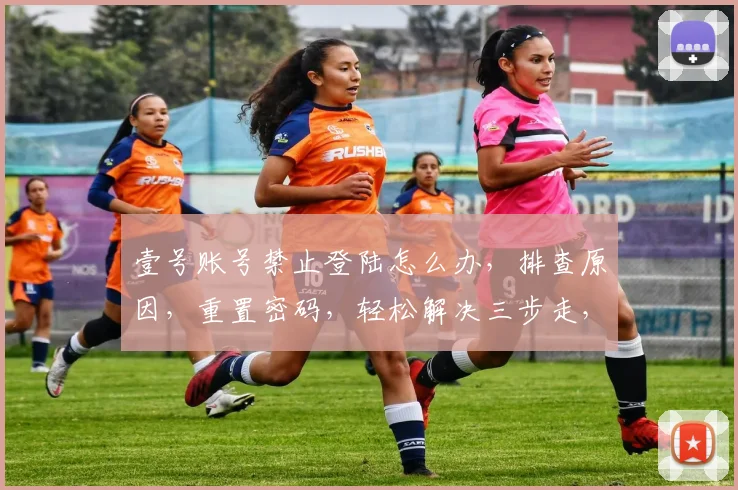 壹号账号禁止登陆怎么办，排查原因，重置密码，轻松解决三步走，快速恢复登录权限