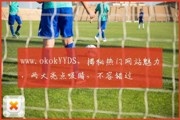www.okokYYDS，揭秘热门网站魅力，两大亮点吸睛，不容错过