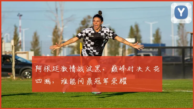 阿根廷激情战波黑，巅峰对决火花四溅，谁能问鼎冠军荣耀