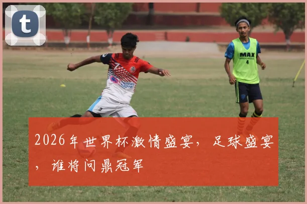 2026年世界杯激情盛宴，足球盛宴，谁将问鼎冠军