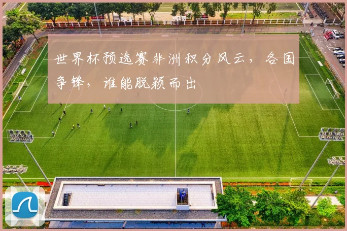 世界杯预选赛非洲积分风云，各国争锋，谁能脱颖而出